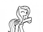 my-little-pony-фэндомы-mlp-gif-Fluttershy-4267574.gif