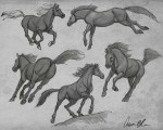 How-To-Draw-Horses-Examples-800x640.jpg