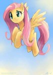 fluttershyby2d75-d4c9j25[1].png