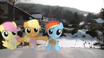 fillyfluttershyapplejackandrainbowdashpirlbystormxf3-d5ybinf.jpg