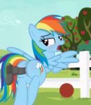 Rainbow Dash2.png