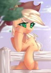 my-little-pony-фэндомы-mlp-art-Applejack-4522387.jpeg