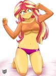 Sunset-Shimmer-minor-my-little-pony-фэндомы-4482337.jpg