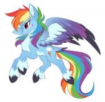 Rainbow-Dash-mane-6-my-little-pony-фэндомы-4404116.png