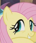 1723133safescreencapfluttershyanimatedcroppedcuteepisode+ne[...].gif