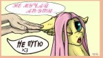 Fluttershy-mane-6-my-little-pony-фэндомы-4129687.jpeg