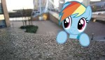 Dashie-in-real-life-my-little-pony-friendship-is-magic-3144[...].png