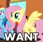 15321saferainbow-dashfluttershyanimatedwant.gif