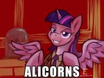 229137safetwilight+sparkleprincess+twilightimage+macroalico[...].jpg