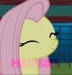 fluttershy-party-soft.gif