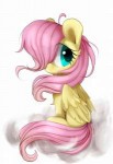 Fluttershy-mane-6-my-little-pony-фэндомы-4659330.png