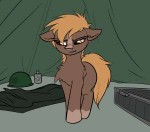 duop-qoub-понификация-my-little-pony-фэндомы-4676503.png