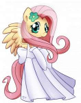 Wedding-Dress-my-little-pony-friendship-is-magic-29017593-7[...].png