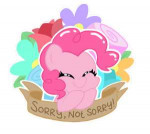 961929safesolopinkie+piecuteflowerdiapinkesmouthpiecebanner[...].png