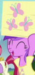 AmethystStarlikesFluttershy.png