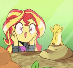 my-little-pony-фэндомы-mlp-gif-Sunset-Shimmer-4710365.gif