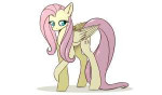 fluttershybykirasunnight-dcrbh4w.png