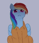 VeraWitch-Rainbow-Dash-mane-6-my-little-pony-4909222.jpeg