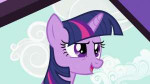 TwilightSparkleatthedoorS2E03.png