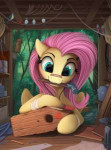 my-little-pony-фэндомы-Fluttershy-mane-6-3107974.png