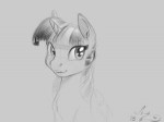 Twilight-Sparkle-mane-6-my-little-pony-фэндомы-4502655.jpeg