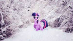 anticipationofwinterbydjapplejsound-d83ucvz.png