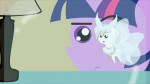 my-little-pony-фэндомы-mlp-gif-mlp-OC-4832316.gif