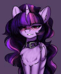 duop-qoub-Twilight-Sparkle-mane-6-my-little-pony-5366558.png