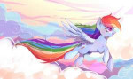 2125298safeartist-colon-riukimerainbow+dashcloudfemaleflyin[...].jpeg