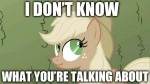 99229-animatedapplejackAppleliemacrowhatareyoutalkingabout.gif