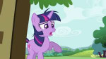 TwilightSparkleseeingFluttershyfightingabearS2E03.png