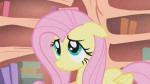 FluttershyGlanceS01E09.png