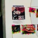 ameriahime121020177484687