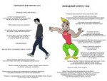 virgin chad.png