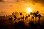 Los Angeles and Palm Trees Sunset.jpeg