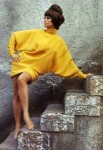 Claudia-Cardinale-1960s-mod-vintage-fashion-style-color-pho[...].jpg