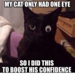 my-cat-onli-had-one-eye-so-i-did-this-16146211[1].png