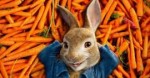 Peter-Rabbit-Movie-2018.jpg