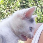 IMG0766.JPG