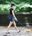 jennifer-lawrence-walks-her-dog-out-in-new-york-06-25-2018-6.jpg