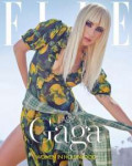 lady-gaga-elle-magazine-women-in-hollywood-issue-november-2[...].jpg