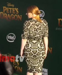 PetesDragon.webm