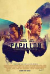 Papillon-3207873.jpg