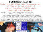 27 - Nigger Murder Ratesjpg.jpg