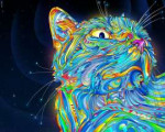 psycat.jpg