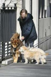 amanda-seyfried-walks-her-dog-in-new-york-04-02-2019-1.jpg