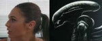 Alien Xenomorph.png