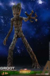 Hot Toys - IW Groot 0002.jpg