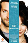 kinopoisk.ru-Silver-Linings-Playbook-2303001.jpg