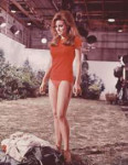 Raquel Welch 4.jpg